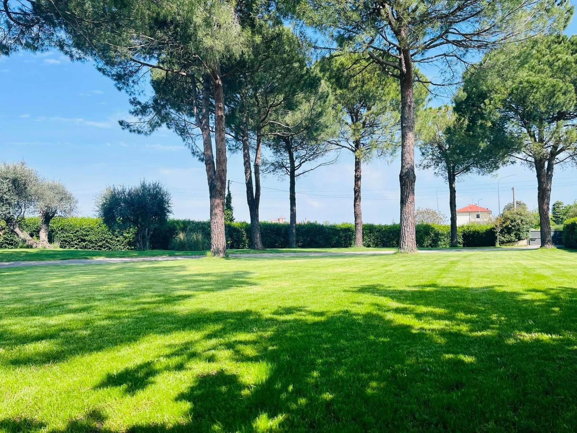 Villa Pronti Santarcangelo - Rimini SantʼArcangelo di Romagna Extérieur photo